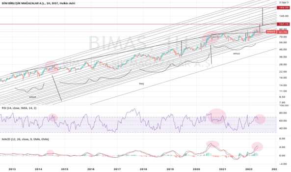 BIMAS LOGARİTMİK GRAFİK - BIM MAGAZALAR