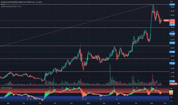 #CEMTS - Yorum, Teknik Analiz ve Değerlendirme - CEMTAS