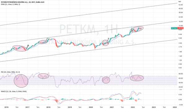 PETKM LOGARİTMİK GRAFİK - PETKIM