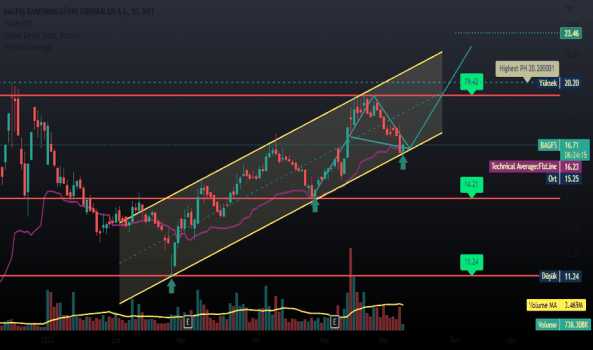 BAGFS,1G - Yorum, Teknik Analiz ve Değerlendirme - BAGFAS