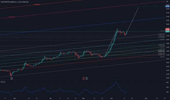 #sasa - Yorum, Teknik Analiz ve Değerlendirme - SASA POLYESTER