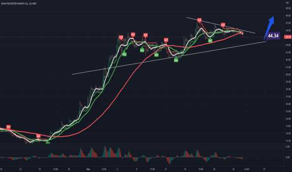 SASA varlık 45.1 fiyatı ile negatiflerde: kısa vadeli düşünn sat - SASA POLYESTER