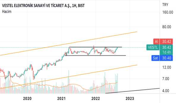 #VESTL - Vestel ve TOGG - VESTEL