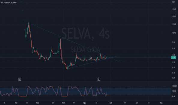 selva gıda - SELVA GIDA