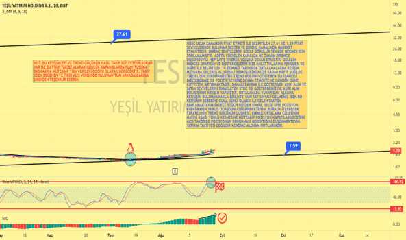 YESIL DE SON DURUM - YESIL YATIRIM HOLDING