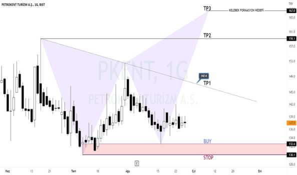 PKENT (D1) - PETROKENT TURIZM