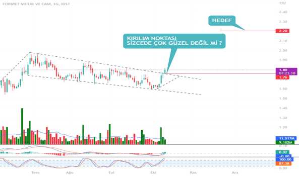 FORMT BAYRAK FORMASYONU KIRILIMI - FORMET METAL VE CAM