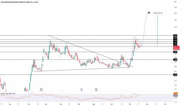 ACSEL USD KIRILIM BEKLENMELİ - ACIPAYAM SELULOZ