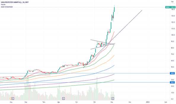 SASA'da halka arz ve TL riski yaklaşıyor - SASA POLYESTER