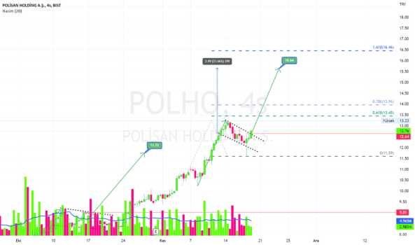 Polho 12.64 üzerinde hedef 15.64(Potansiyel %23) ytd - POLISAN HOLDING