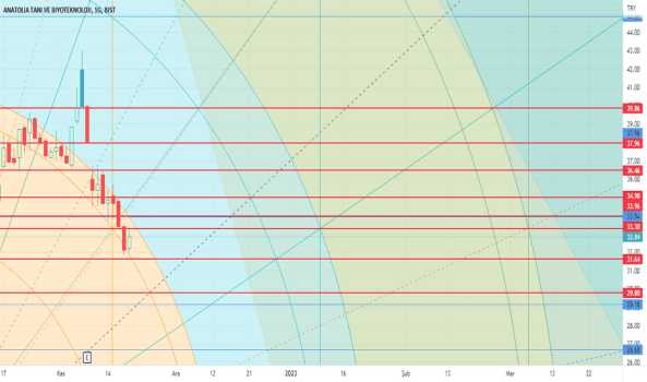 Angen: Gann fanı- Günlük - ANATOLIA TANI VE BIYOTEKNOLOJI