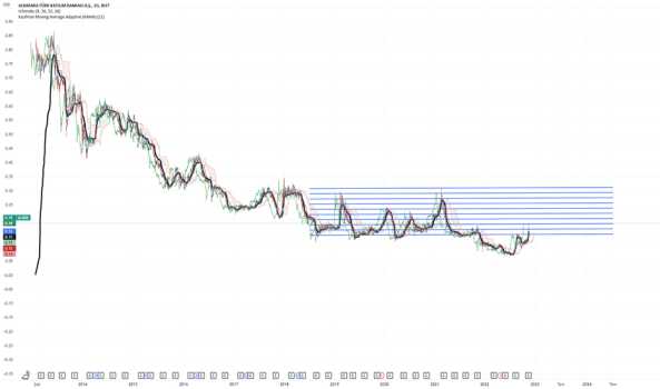 dolar bazlı albrk - ALBARAKA TURK