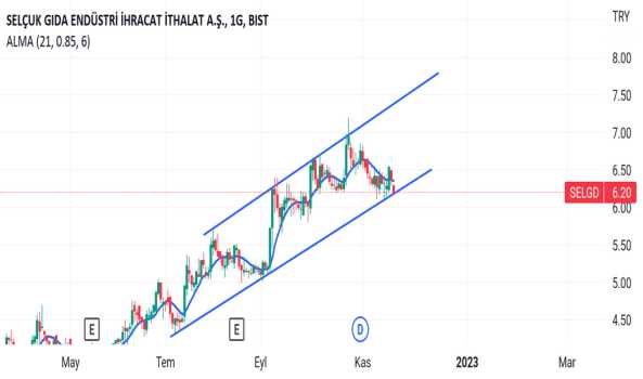 Selgd - Hisse Yorum, Teknik Analiz ve Değerlendirme - SELCUK GIDA