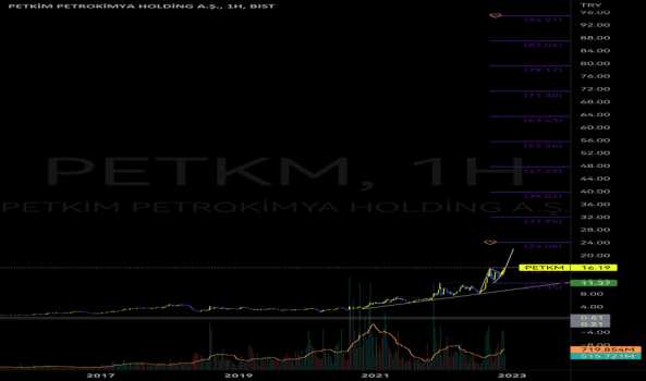 PETKM bir PETKM hayalim var! - PETKIM