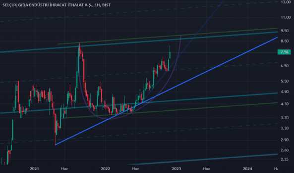 SELGD - Hisse Yorum, Teknik Analiz ve Değerlendirme - SELCUK GIDA