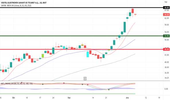 #vestl kar satışları - VESTEL