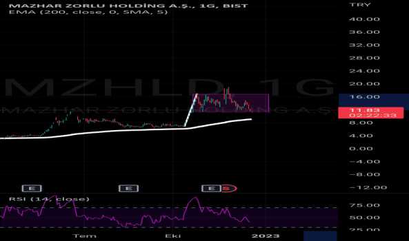 Mzhld kritik seviyede - MAZHAR ZORLU HOLDING