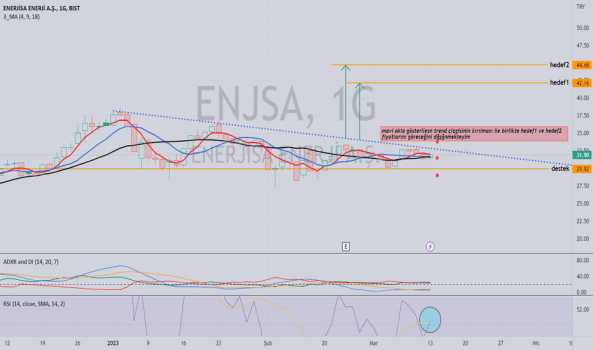 enjsa tatsız - ENERJISA ENERJI