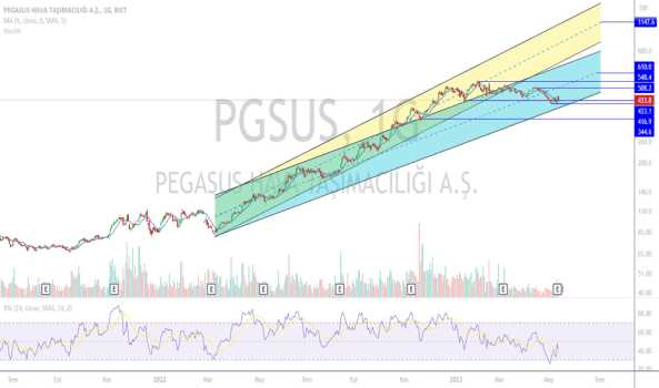 #PGSUS bilanço değerlendirmesi - PEGASUS