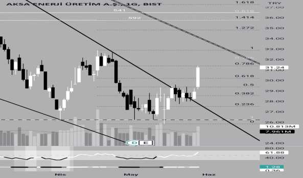 Aksen adam eve mi? - AKSA ENERJI