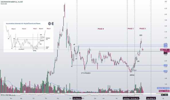 #SASA - WYCKOFF ŞEMASI//USD - SASA POLYESTER