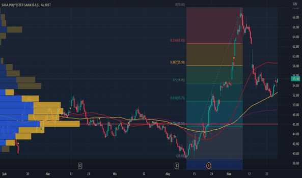 SASA şirketin hisse senedi için "Strong Buy" (Güçlü Al) - SASA POLYESTER