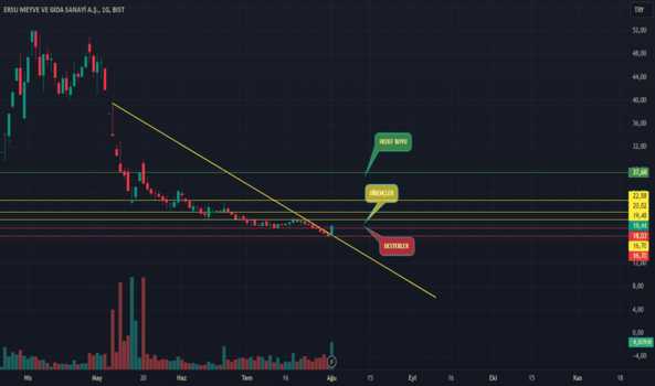 1 Ağustos 2024 - ERSU - Hisse Yorum ve Teknik Analiz - ERSU GIDA