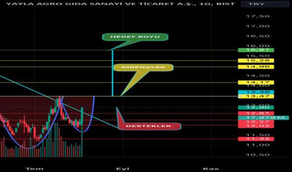 4 Ağustos 2024 - YYLGD - Hisse Yorum ve Teknik Analiz - YAYLA GIDA