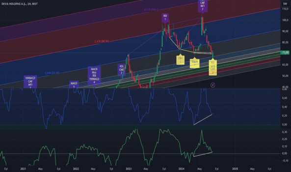 9 Ağustos 2024 - DEVA HAFTALIK DÖNÜŞ SİNYALİ - DEVA HOLDING