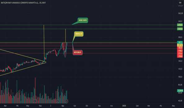 12 Ağustos 2024 - BTCIM - Hisse Yorum ve Teknik Analiz - BATI CIMENTO