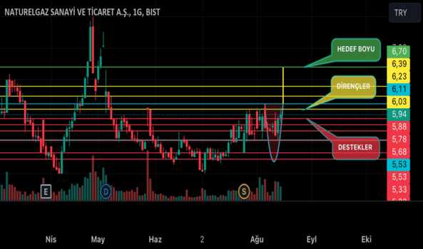 14 Ağustos 2024 - NTGAZ - Hisse Yorum ve Teknik Analiz - NATURELGAZ