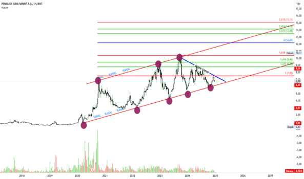 28 Aralık 2024 - PENGD - Hisse Yorum ve Teknik Analiz - PENGUEN GIDA