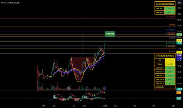 1 Ocak 2025 - HOROZ - Hisse Yorum ve Teknik Analiz - HOROZ LOJISTIK