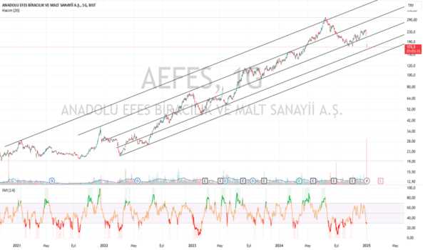1Ocak 2, 2025 15:21 - AEFES - Hisse Yorum ve Teknik Analiz - ANADOLU EFES