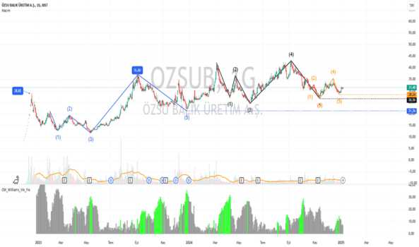 1Ocak 8, 2025 09:13 - OZSUB - Hisse Yorum ve Teknik Analiz - OZSU BALIK