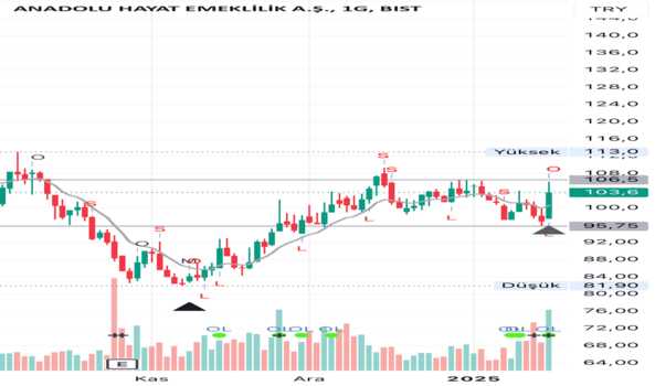 16 Ocak 2025 - Anhyt Teknik Analiz - ANADOLU HAYAT EMEK.
