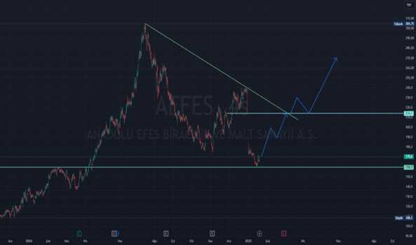 20 Ocak 2025 - #AEFES - Uzun vadeli alınabilecek hisseler - ANADOLU EFES