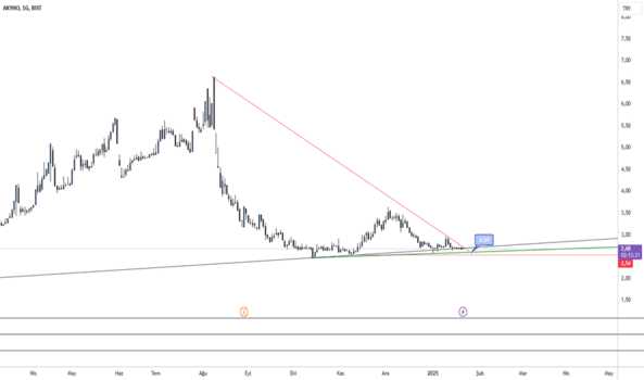 22 Ocak 2025 - AKYHO//GUNLUK - AKDENIZ YATIRIM HOLDING