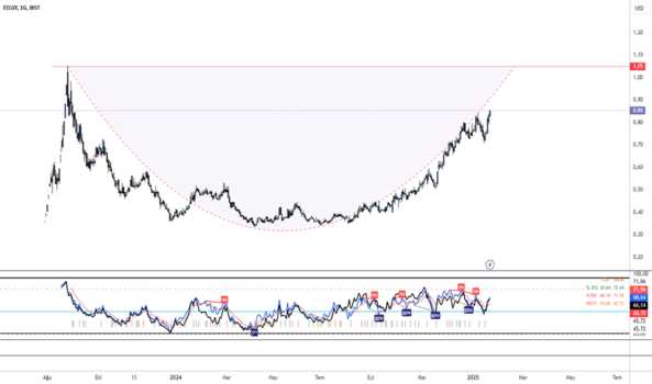 22 Ocak 2025 - FZLGY//USD - FUZUL GMYO