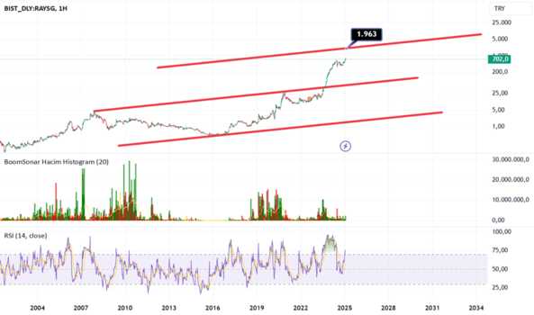 24 Ocak 2025 - raysg **** ytd**** - RAY SIGORTA