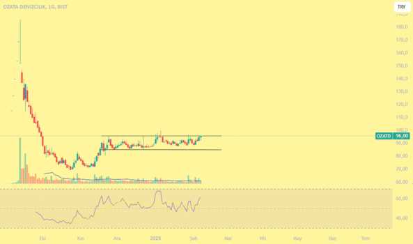 7 Şubat 2025 - OZATD Rectangle - OZATA DENIZCILIK
