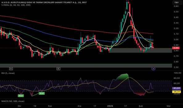 14 Şubat 2025 - AVOD - Hisse Yorum ve Teknik Analiz - A.V.O.D GIDA VE TARIM