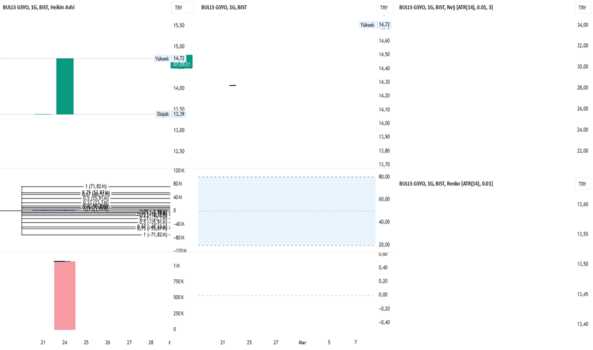 1Şubat 24, 2025 11:00 - BULGS - Hisse Yorum ve Teknik Analiz - BULLS GSYO