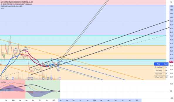1Şubat 26, 2025 02:11 - ELITE - Hisse Yorum ve Teknik Analiz - ELITE NATUREL ORGANIK GIDA