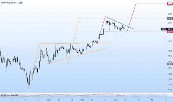 tkfen bir flama daha - TEKFEN HOLDING