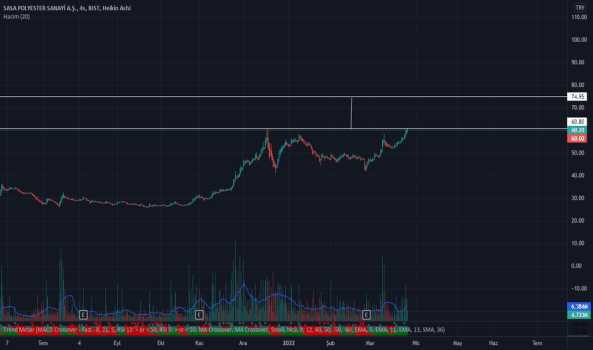 Sasa amca - Yorum, Teknik Analiz ve Değerlendirme - SASA POLYESTER