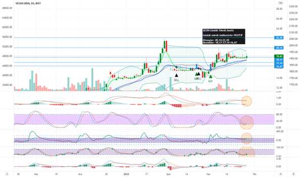 SELVA Günlük Teknik Analiz - SELVA GIDA