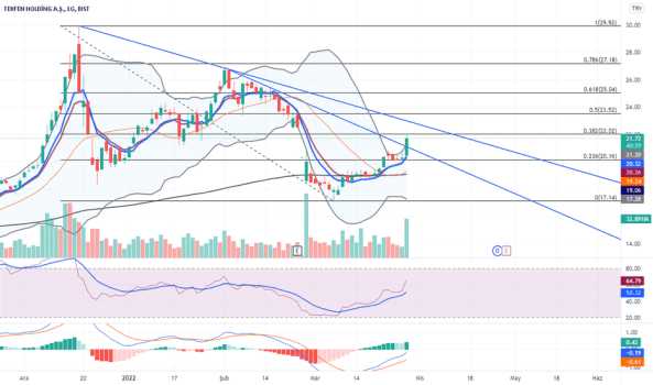 tkfen (21,70) - TEKFEN HOLDING