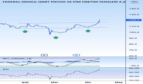 FMIZP (Fmizp ) Teknik Analiz ve Yorum - F-M IZMIT PISTON