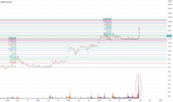 MZHLD (Mzhld ) Teknik Analiz ve Yorum - MAZHAR ZORLU HOLDING